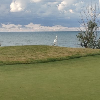 Profile Picture of Patrick Dolly (@Patrickdolly1) on Twitter