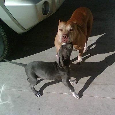 Profile Picture of Omar Calvillo Ceron (@omarbecace) on Twitter