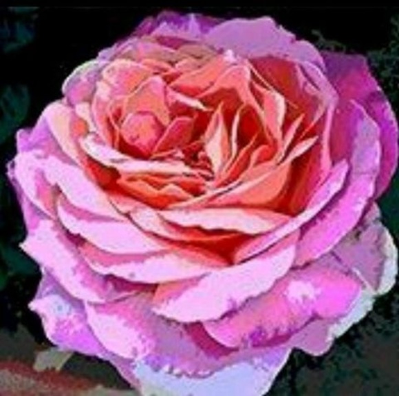 Profile Picture of Renee Marks (@reneemarks596) on Poshmark