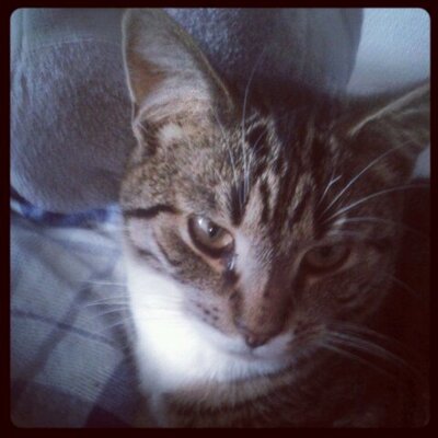 Profile Picture of Patrick Wysocki (@patrick_wysocki) on Twitter