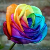 Profile Picture of Andi Rodrigues (@andi-rodrigues-1) on Quora