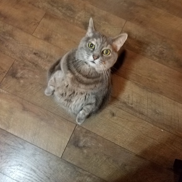 Profile Picture of Abbie Robaugh (@abbierobaugh) on Poshmark