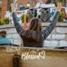 Profile Picture of Rhonda CurlSelf (@rhonda.curl.9) on Facebook