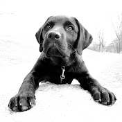 Profile Picture of Gary Hodgson (@GaryHodgson) on Youtube