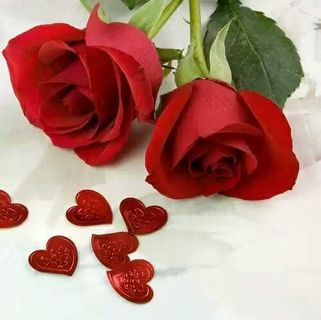 Profile Picture of Pick Rose (@pick.rose.3) on Facebook