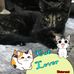 Profile Picture of Laura Crabtree (@laura.crabtree.146) on Facebook