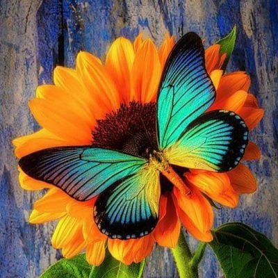 Profile Picture of Betty Olanoff (@KellyOlanoff) on Twitter