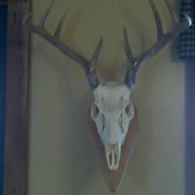 Profile Picture of Marshall Wheeler (@mwhee33) on Twitter