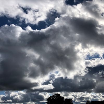 Profile Picture of Joan Duncan (@JoanDun69605868) on Twitter