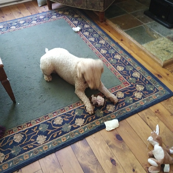 Profile Picture of Alexandra Easson (@danyashmania) on Poshmark