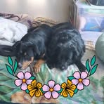 Profile Picture of Cindy Pahi (@cindy.pahi) on Facebook