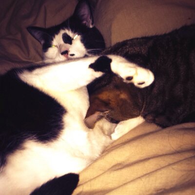 Profile Picture of Ed Moser (@ed_d_mos) on Twitter