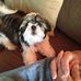 Profile Picture of Melvin Pyatt (@melvin.pyatt.549) on Facebook