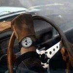 Profile Picture of Jacob Bogdan (@bogdanjacob) on Instagram