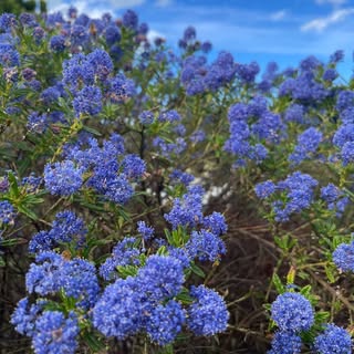 Profile Picture of Richard Drexel (@richard.drexel) on Instagram