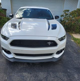 Profile Picture of David Stowits (@david.stowits) on Facebook