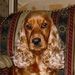 Profile Picture of Judith Mccabe (@jmccabe244) on Pinterest
