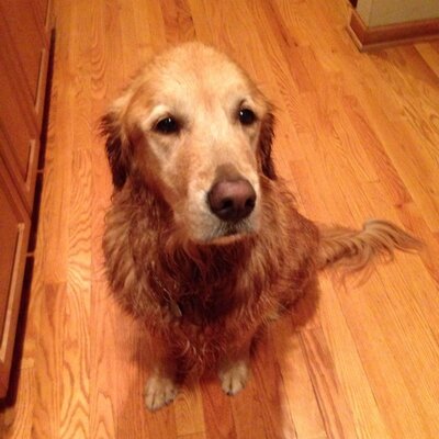 Profile Picture of Cathy Krupp (@cathykrupp) on Twitter