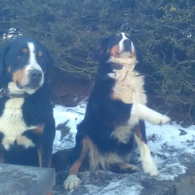 Profile Picture of Kevin.roussel (@kevinroussel18) on Twitter