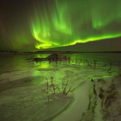 Andrew Fretwell - Twitter Profile Picture of Andrew Fretwell (@AndrewFretwell5) on Twitter