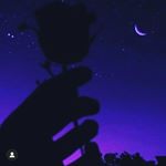 Profile Picture of Whitley Hall (@whit.hall_4206) on Instagram