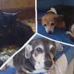 Profile Picture of Reto Schrepfer (@Schrepfer73) on Facebook