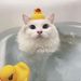 Profile Picture of Amelia Calapiz (@cherryducklol) on Pinterest
