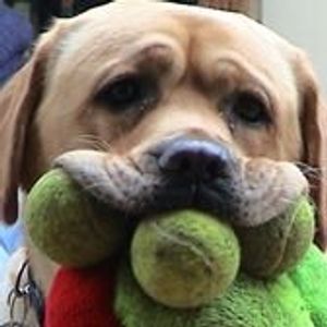 Profile Picture of Nigel Patterson (@prisoner777) on Myspace