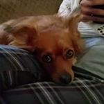 Profile Picture of Sami Millsap (@samimillsap) on Instagram