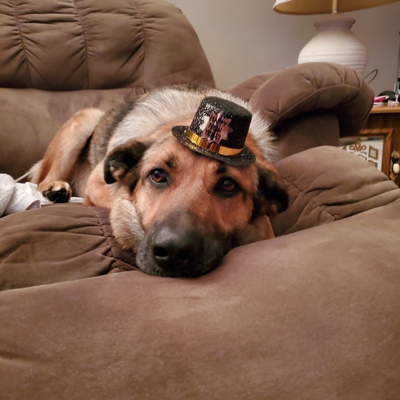 Profile Picture of Heather Behmlander (@hbehmlander) on Poshmark