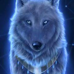 Profile Picture of Frank Machado (@frankmachado19) on Twitter