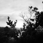 Profile Picture of 𝓦𝓪𝓭𝓮 𝓡𝓮𝓭𝓭𝓲𝓼𝓱 (@wade23419) on Instagram