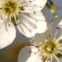 Daniel Bellon - Quora Profile Picture of Daniel Bellon (@daniel-bellon) on Quora