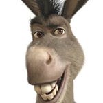 Profile Picture of Andrew Dantuono (@andrewdantuono) on Instagram