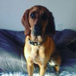 Profile Picture of julius jacobs (@juliusjacobs05) on Instagram