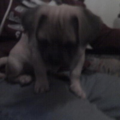 Profile Picture of Yolanda Potter (@YolandaPotter2) on Twitter