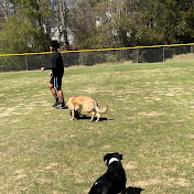 Dani Meza - Youtube Profile Picture of Dani Meza (@danimeza534) on Youtube