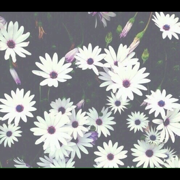 Alexa Nania - Poshmark Profile Picture of Alexa Nania (@alexa_marie) on Poshmark