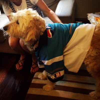 Matt Laming - Twitter Profile Picture of Matt Laming (@matt_laming) on Twitter