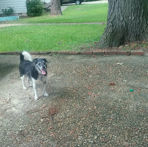 Profile Picture of Faye Mohr (@fayemmmmm) on Poshmark