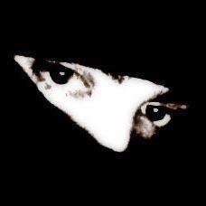 Profile Picture of Nick Frescas (@Frescani) on Twitter