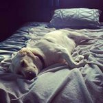 Profile Picture of Lisa O'Connor (@lisa.oconner) on Instagram