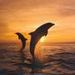 Profile Picture of Shannon Goad (@ilovedolphins) on Pinterest