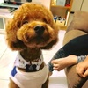 Profile Picture of Ariel Capote962 (@@acaps82) on Tiktok