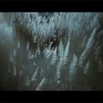 Profile Picture of Pelfrey Robin (@Pelfrey-Robin) on Facebook