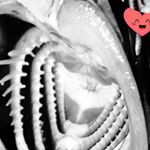 Profile Picture of John Burkhalter (@john.burkhalter.127) on Instagram