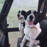 Profile Picture of Kent Wilkinson (@kenreva) on Instagram