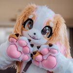 Profile Picture of April 💖🐶 (@aprilthespaniel) on Instagram