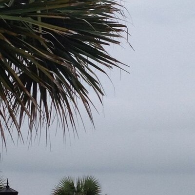 Turner Williams - Twitter Profile Picture of Turner Williams (@twillspr) on Twitter