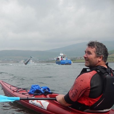 Profile Picture of Anthony Foley (@foleyag) on Twitter